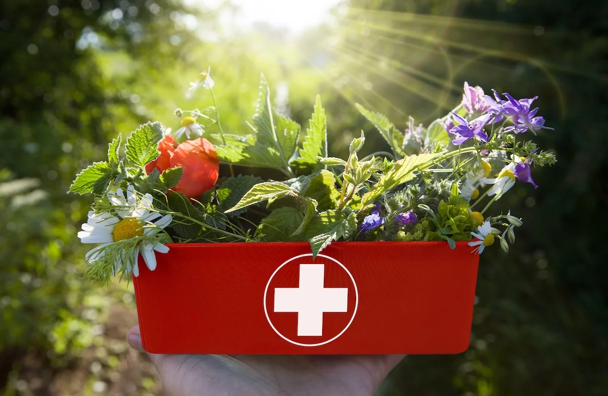 Box mit dem Rotem Kreuz, bestückt mit Blumen