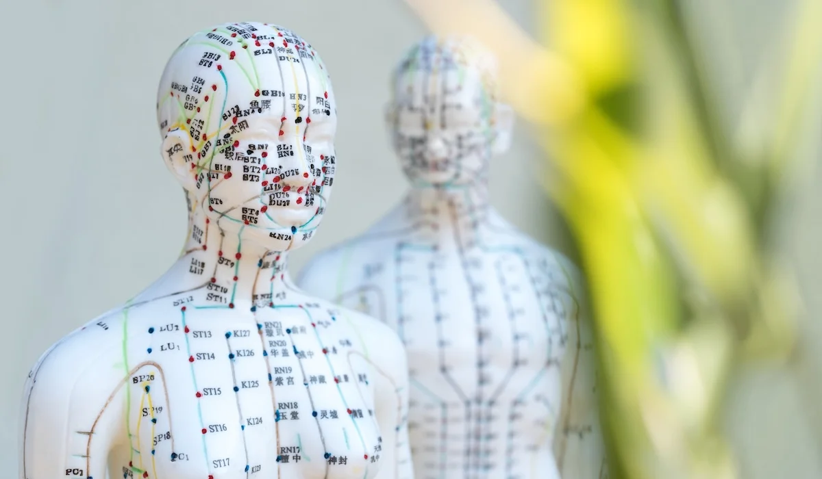 Balance Key – menschliche Karte Manikin